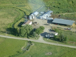 Aerial photo of the dairy. 